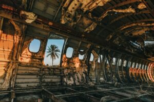 une carlingue détruite d'un avion avec à la fenêtre une vue sur un palmier